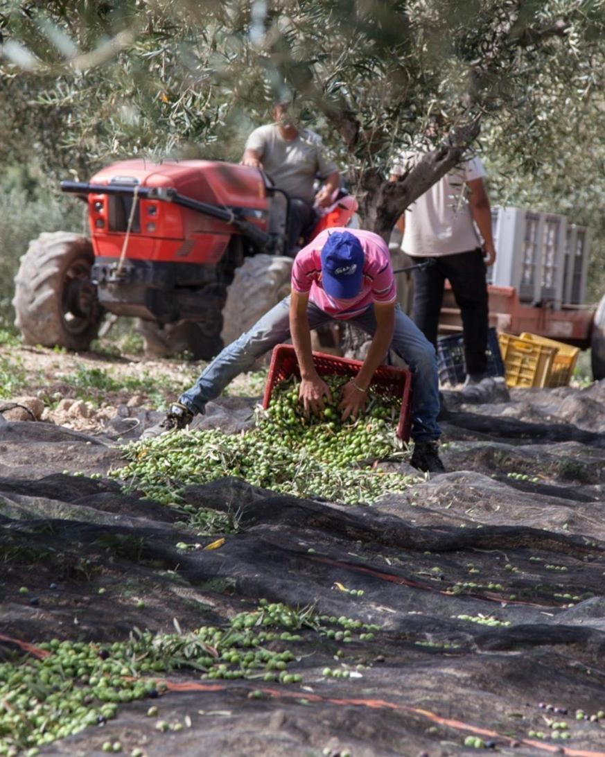 Azienda Agricola Mandranova ξενώνας Palma di Montechiaro Εξωτερικό φωτογραφία