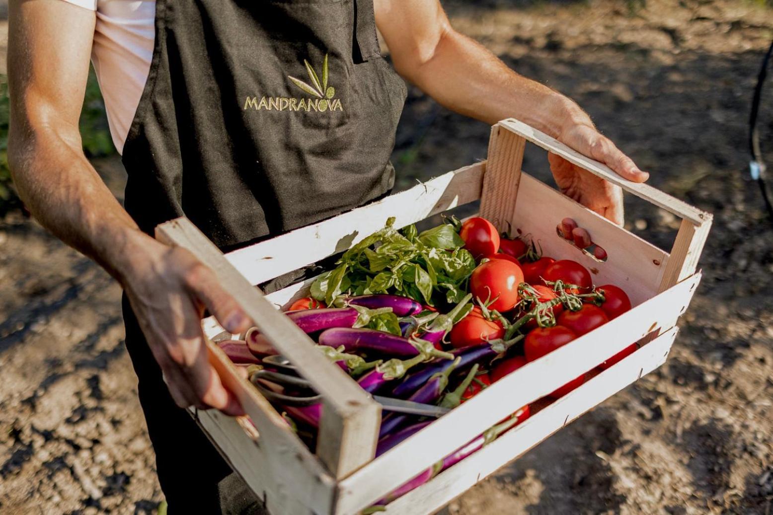 Azienda Agricola Mandranova ξενώνας Palma di Montechiaro Εξωτερικό φωτογραφία