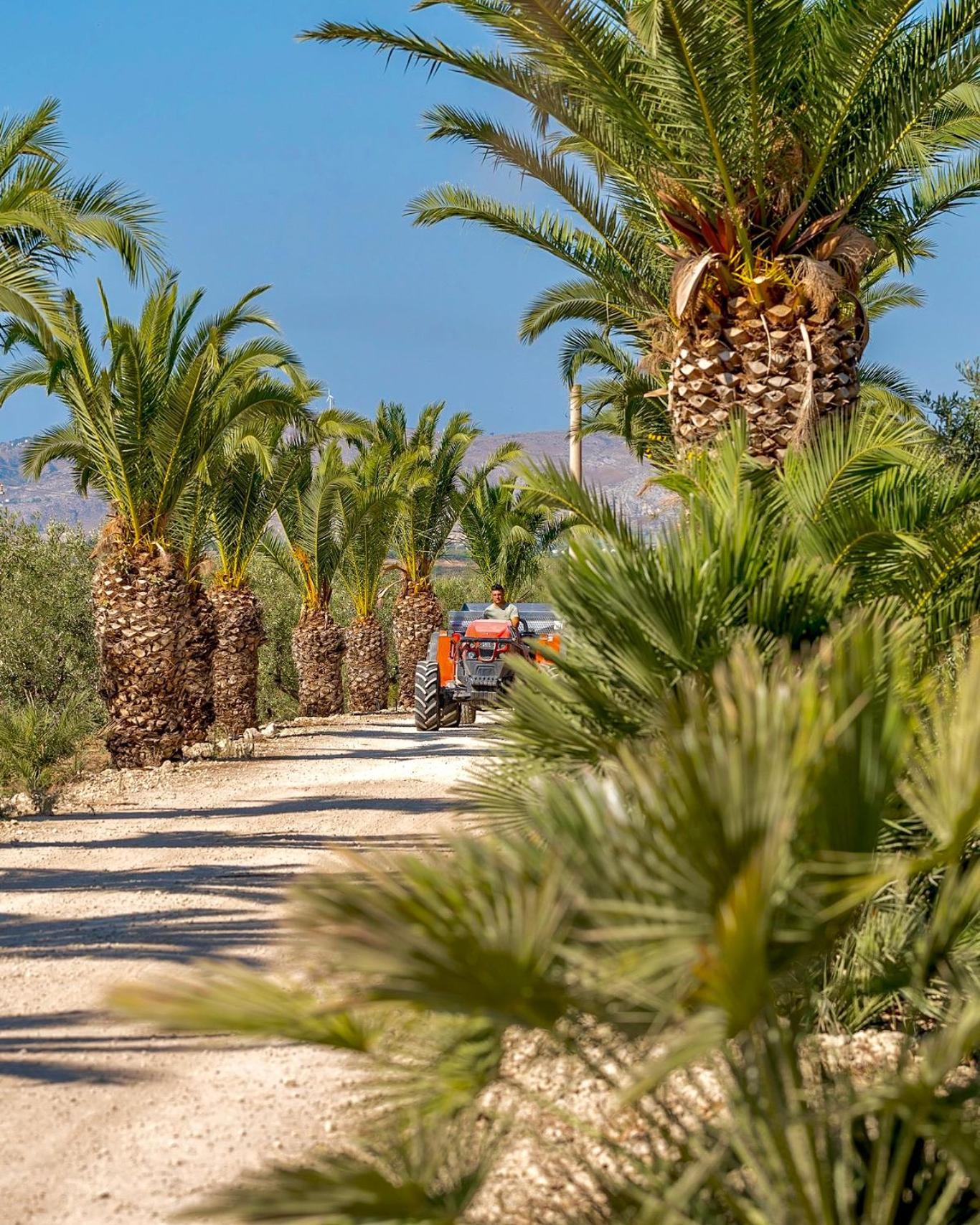 Azienda Agricola Mandranova ξενώνας Palma di Montechiaro Εξωτερικό φωτογραφία